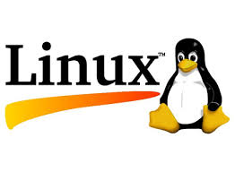 Linux Network Solutions Chad 